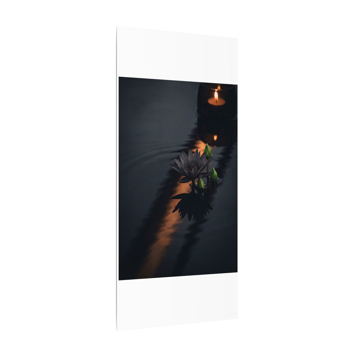 Seijaku Lotus Flower Canvas Art - Dark Japandi Shadow Zen