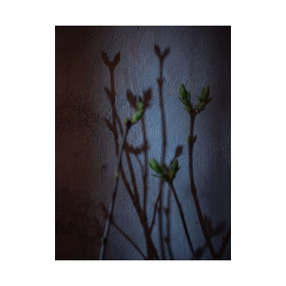 Spring Shadow Play Shadow Zen Wall Art Print | Moody Decor