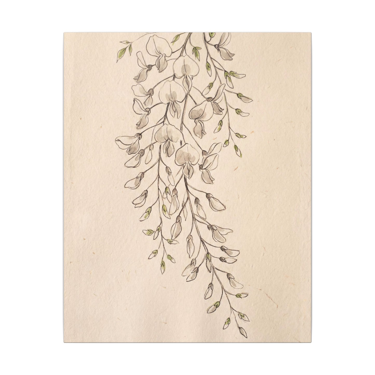 Japandi Wisteria in Golden Hour | Minimal Line Canvas Art