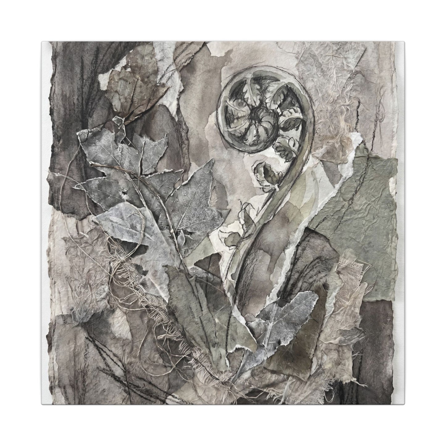 Japandi Fern Unfurling in Overcast | Texture Canvas Art