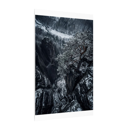 Dark Japandi Pine Tree in Dappled | Dark Texture Canvas Art