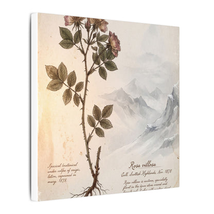 Winter Mountain Mist Herbarium Canvas Art | Earthy Decor