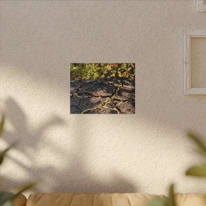 Shibui Cracked Earth Canvas Art - Kintsugi Gold Repair