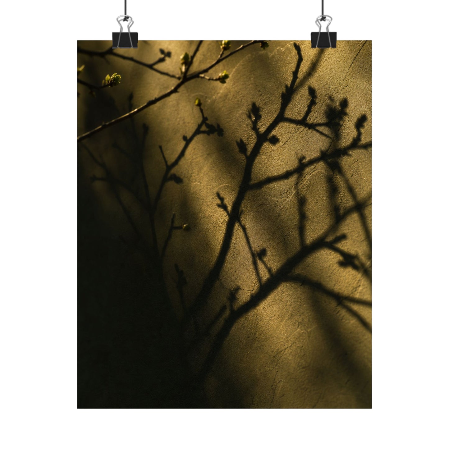 Golden Hour Shadow Play Wall Art Print - Dark Japandi Seijaku