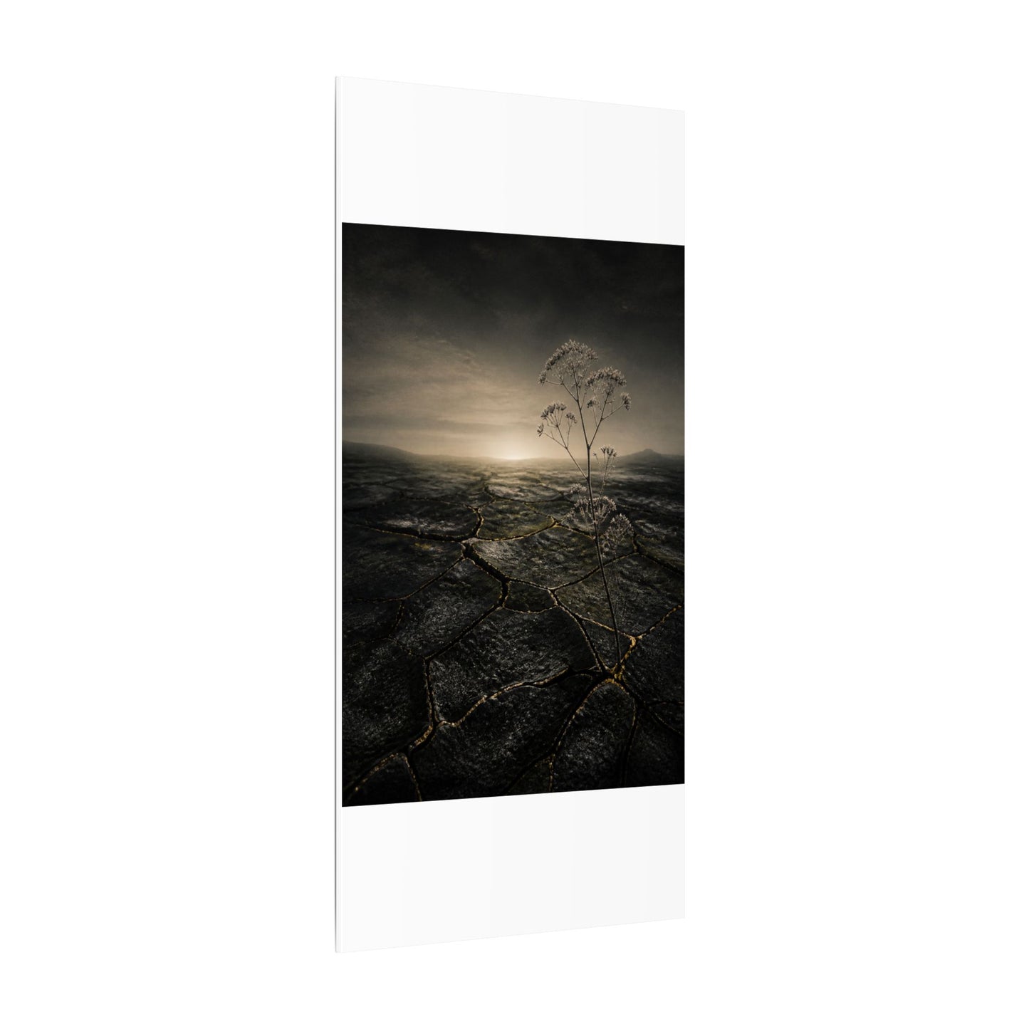 Dawn Cracked Earth Canvas Art - Dark Japandi Mono No Aware