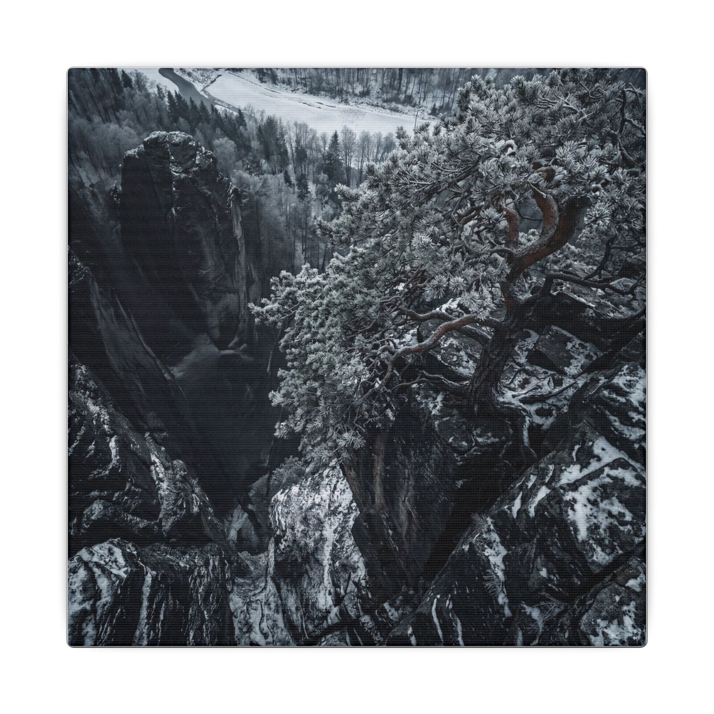 Dark Japandi Pine Tree in Dappled | Dark Texture Canvas Art