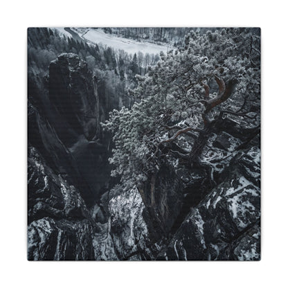 Dark Japandi Pine Tree in Dappled | Dark Texture Canvas Art