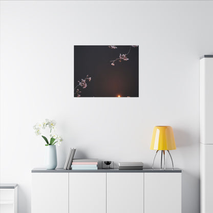 Dark Japandi Cherry Blossom in Candlelight | Moody Minimal Canvas Art