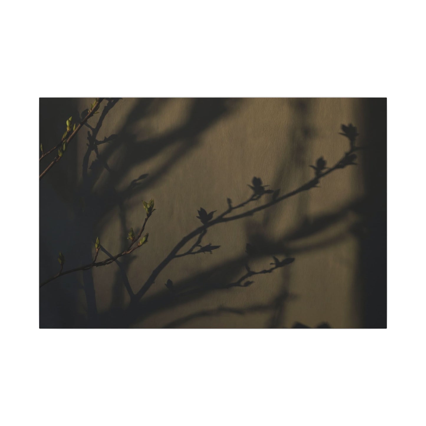 Seijaku Shadow Play Canvas Art - Dark Japandi Charcoal Ink
