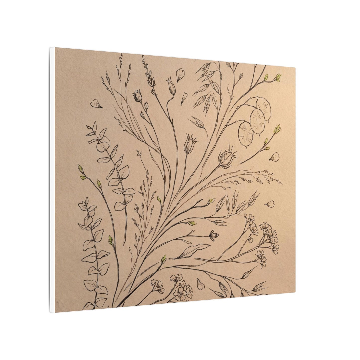 Dried Flowers Canvas Art | Spring Japandi Minimal Line Art