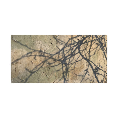 Japandi Shadow Play in Golden Hour | Texture Canvas Art