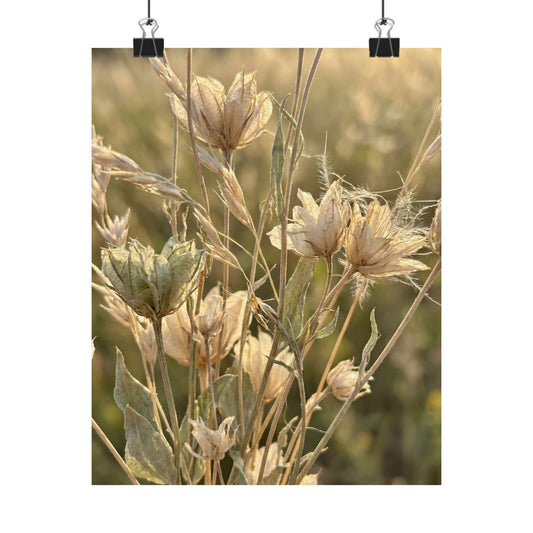 Cozy Dried Flowers Wall Art Print - Minimal Line Japandi Art Print
