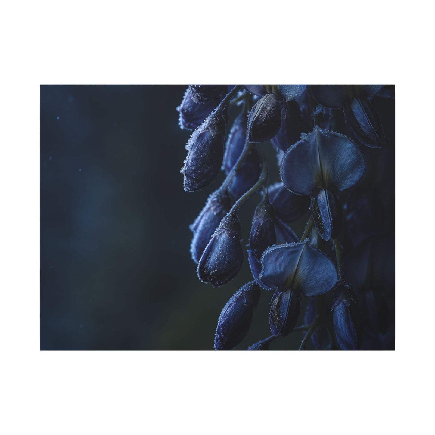 Winter Wisteria Shadow Zen Canvas Art | Atmospheric Decor