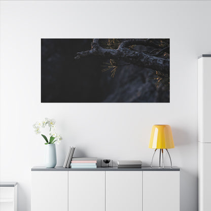 Pine Tree Moody Minimal Canvas Art | Sophisticated Dark Japandi Art