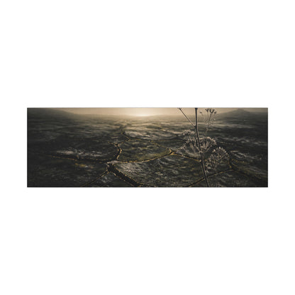 Dawn Cracked Earth Canvas Art - Dark Japandi Mono No Aware