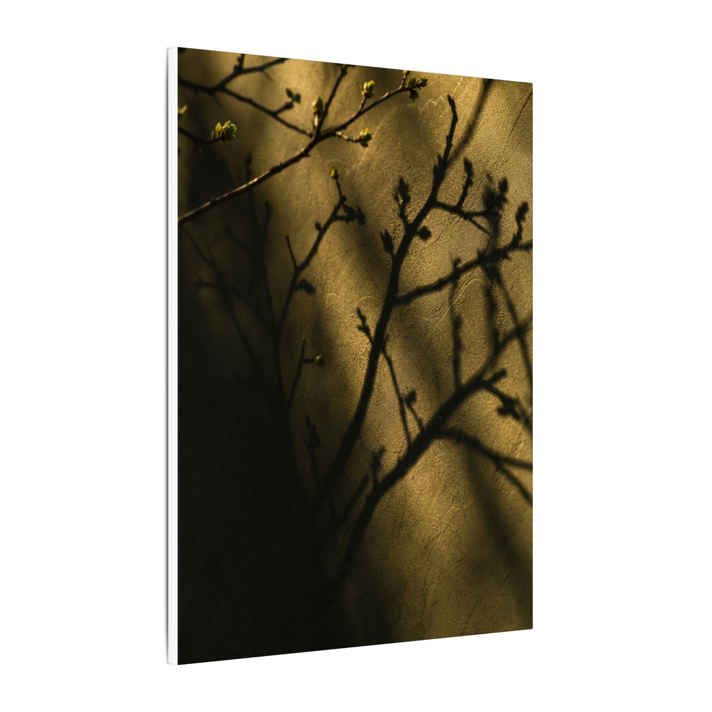 Golden Hour Shadow Play Canvas Art - Dark Japandi Seijaku