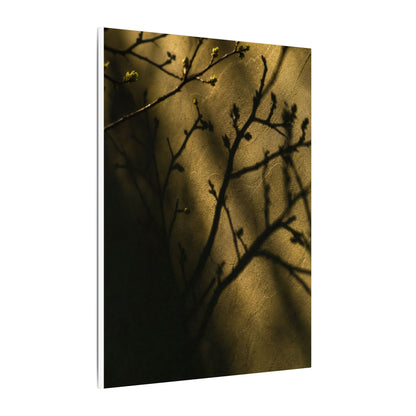 Golden Hour Shadow Play Canvas Art - Dark Japandi Seijaku