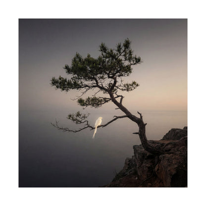 Moody Pine Tree Wall Art Print - Moody Minimal Dark Japandi