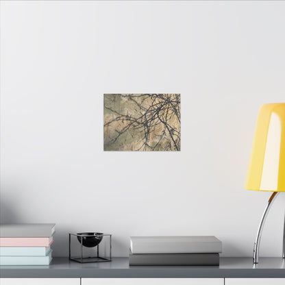 Japandi Shadow Play in Golden Hour | Texture Canvas Art