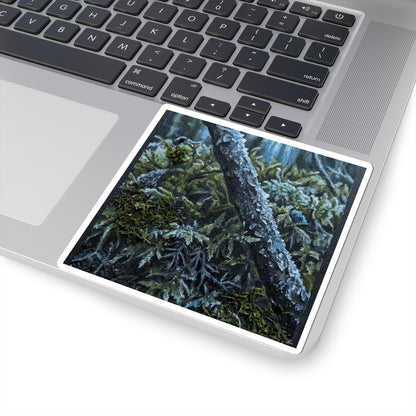Moss Close Up Dark Texture Sticker | Luxurious Dark Japandi Art