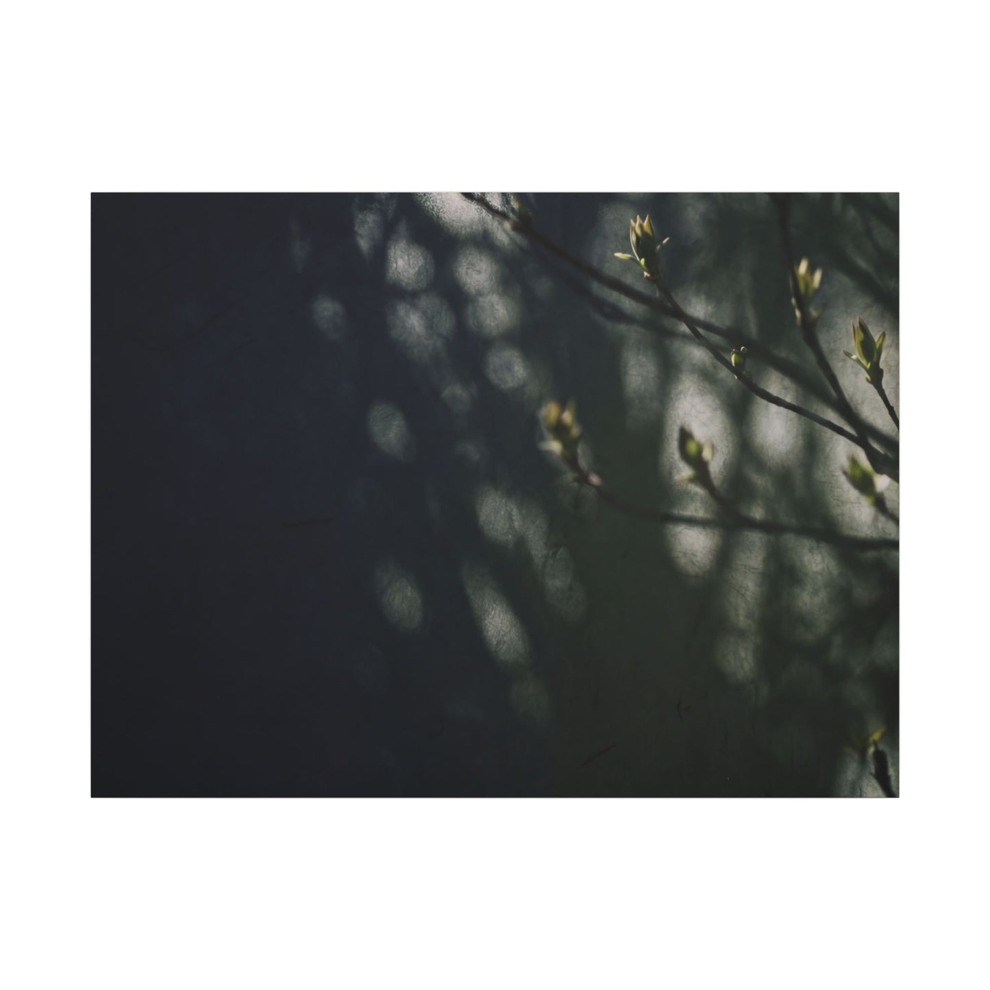 Dark Japandi Shoji Screen in Dappled | Moody Minimal Canvas Art