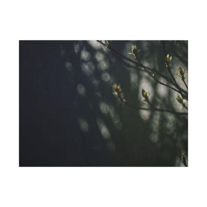 Dark Japandi Shoji Screen in Dappled | Moody Minimal Canvas Art