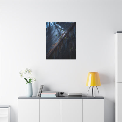 Rust Patina Canvas Art | Spring Dark Japandi Shadow Zen Art