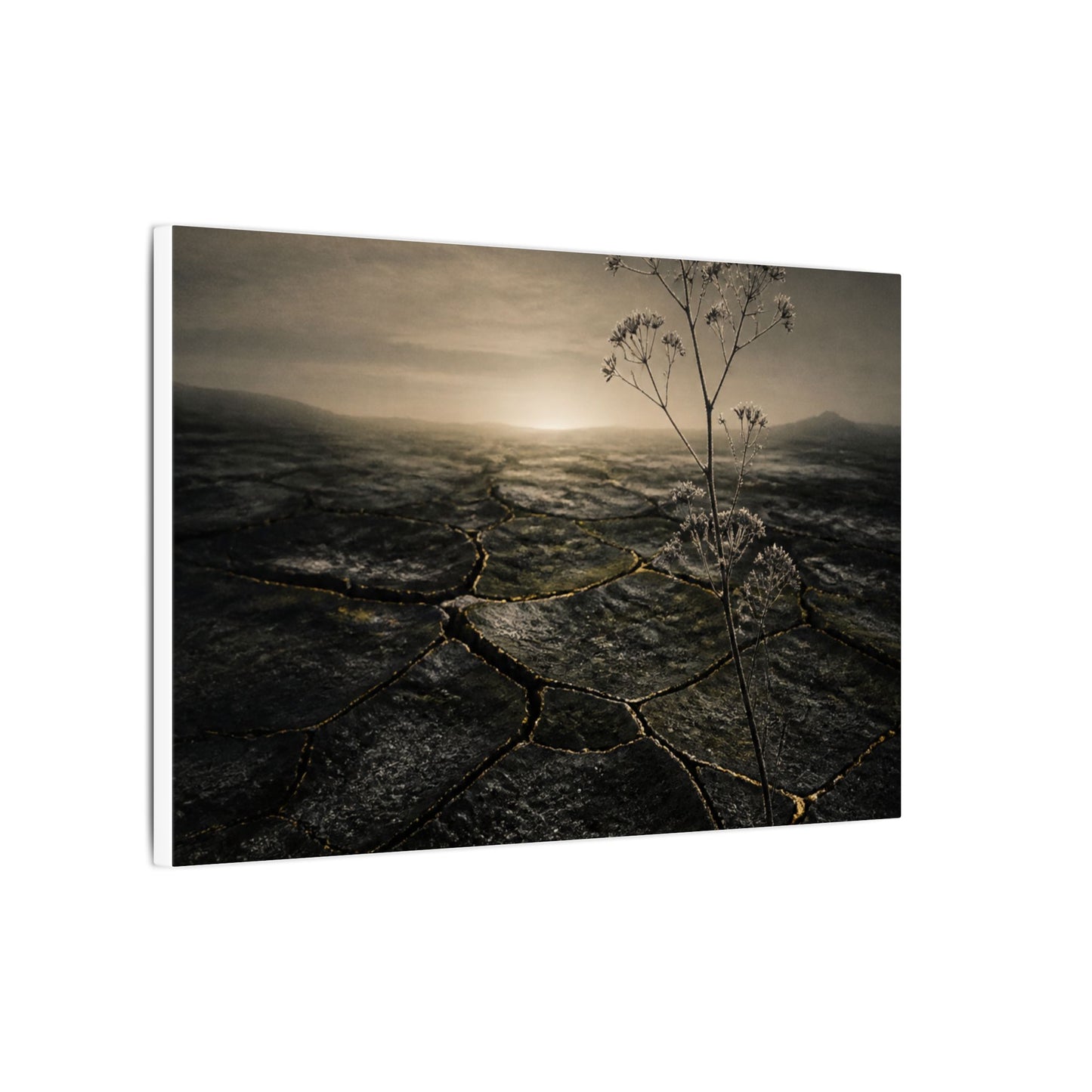 Dawn Cracked Earth Canvas Art - Dark Japandi Mono No Aware