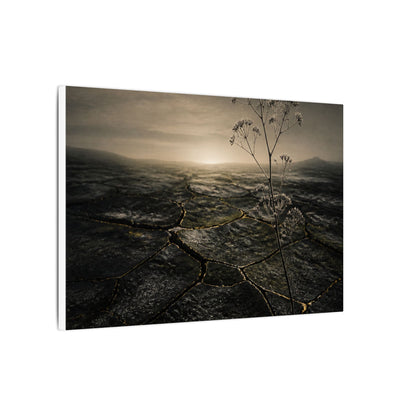 Dawn Cracked Earth Canvas Art - Dark Japandi Mono No Aware