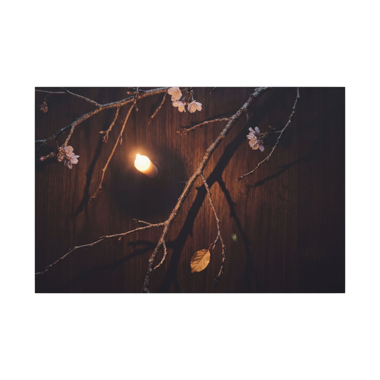 Datsuzoku Cherry Blossom Canvas Art - Dark Japandi Moody Minimal