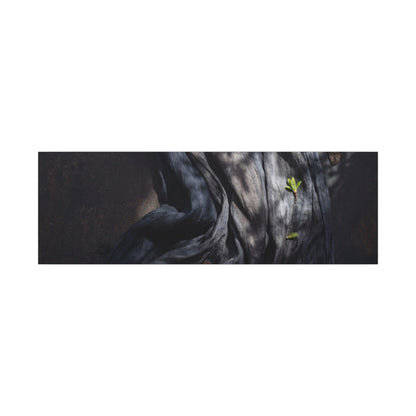 Seijaku Silk Drape Canvas Art - Dark Japandi Dark Texture