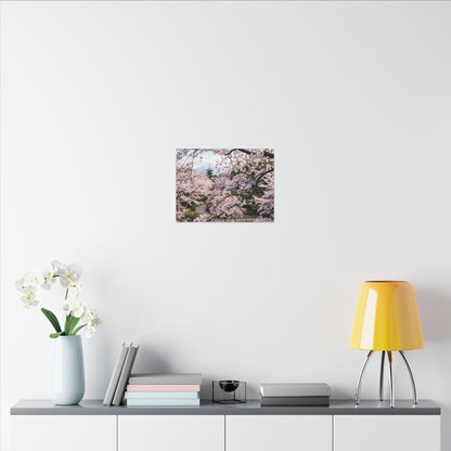 Shibui Ceramic Bowl Canvas Art - Japandi Watercolor
