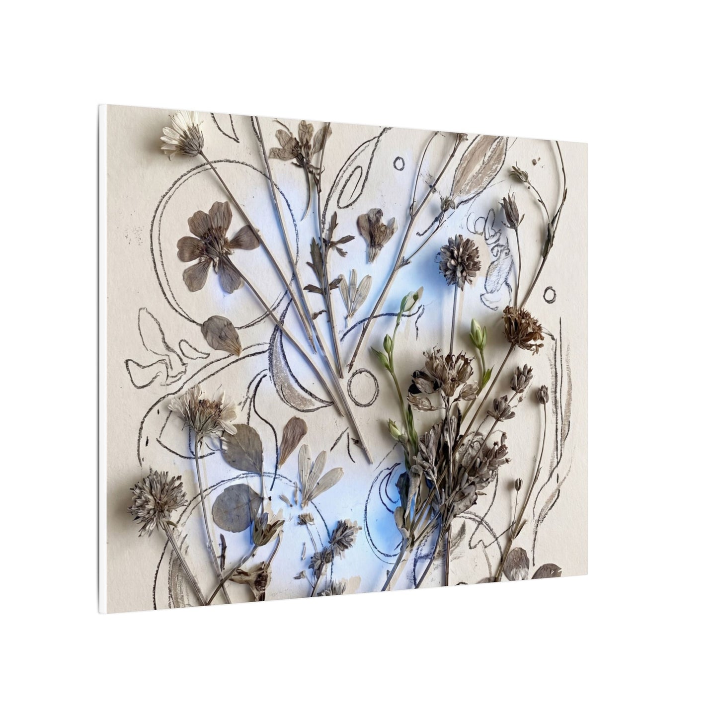 Dried Flowers Minimal Line Canvas Art | Elegant Japandi Art