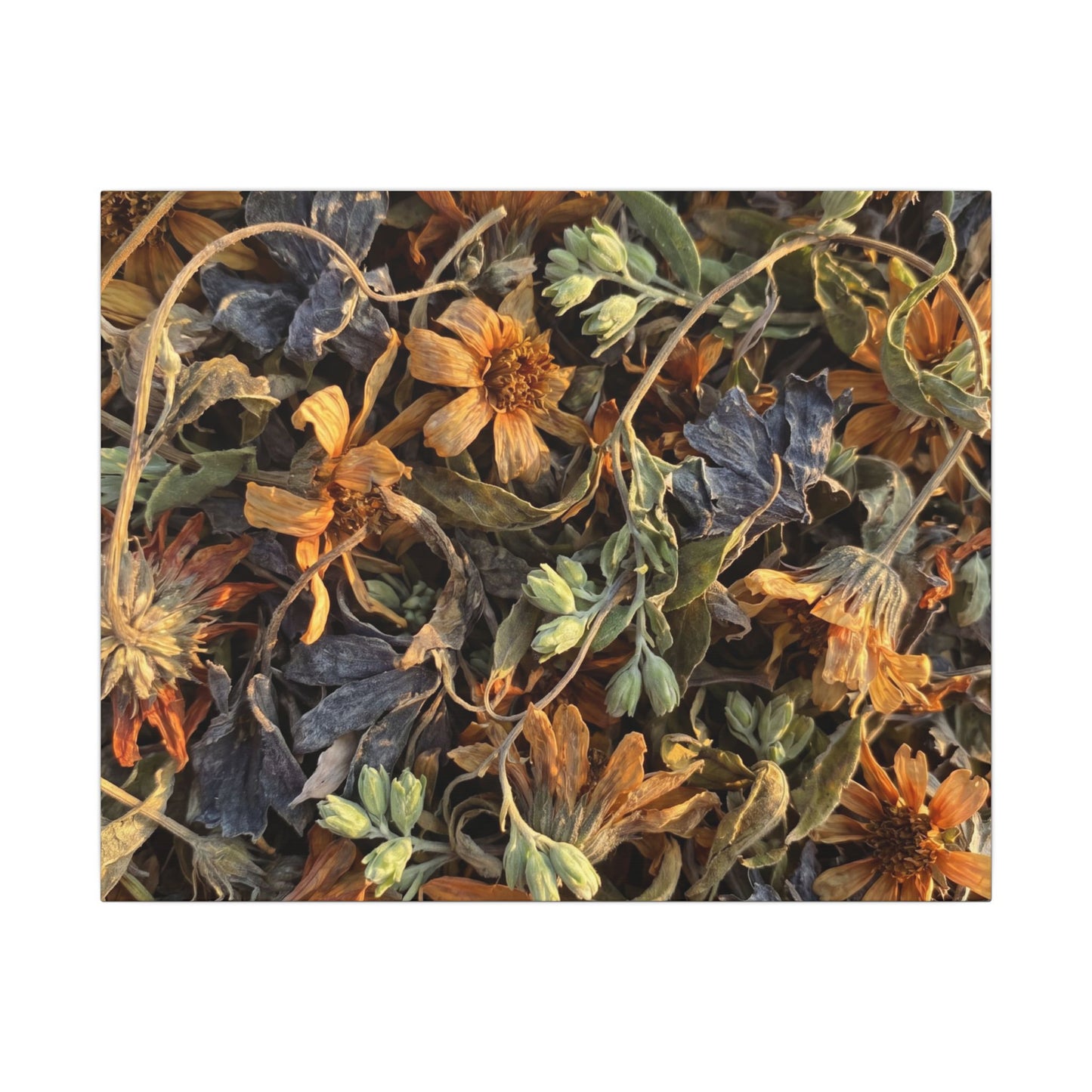 Spring Dried Flowers Japanese Pattern Canvas Art | Warm Decor Art Print