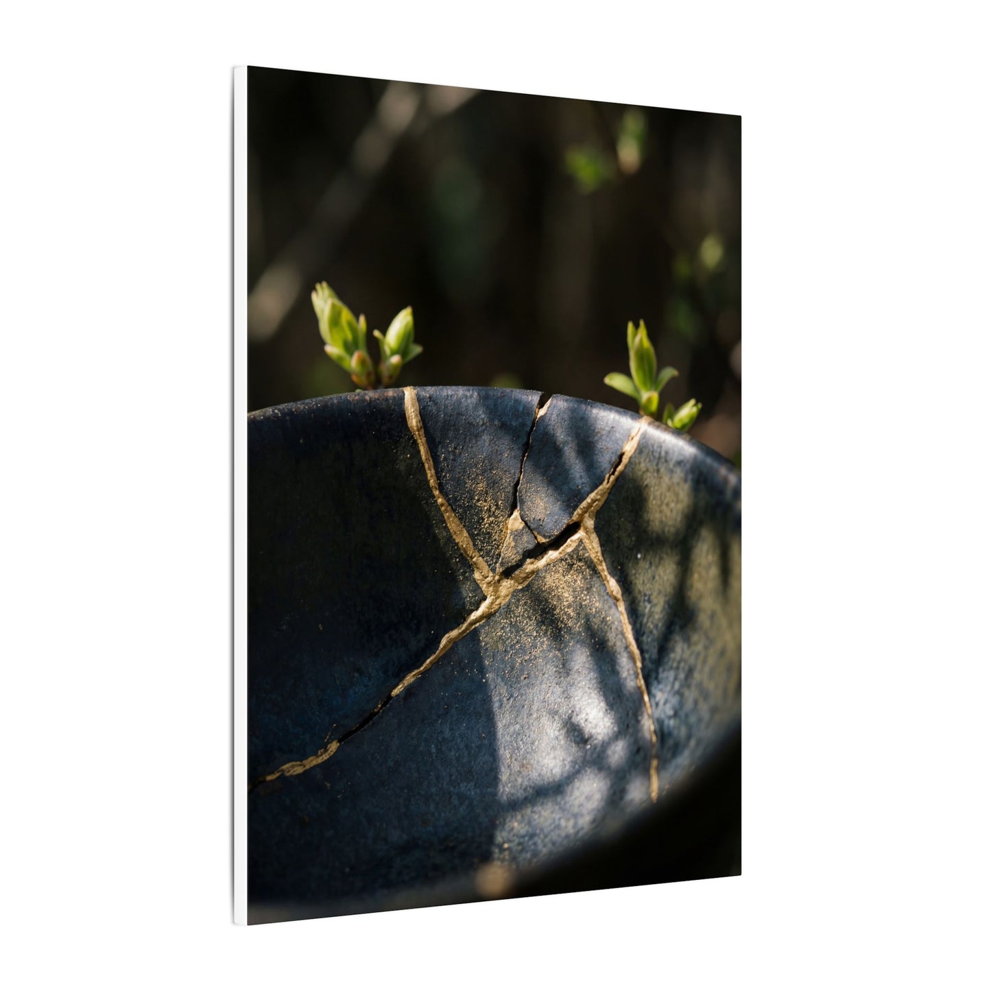 Seijaku Broken Pottery Canvas Art - Dark Japandi Shadow Zen