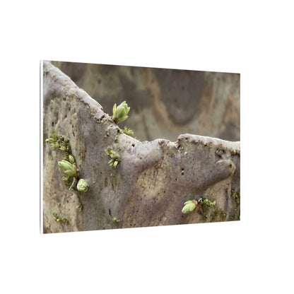 Overcast Ceramic Bowl Canvas Art - Japandi Fukinsei