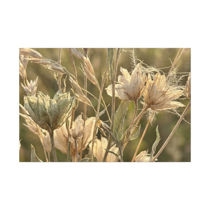 Summer Dried Flowers Minimal Line Canvas Art | Cozy Decor Art Print