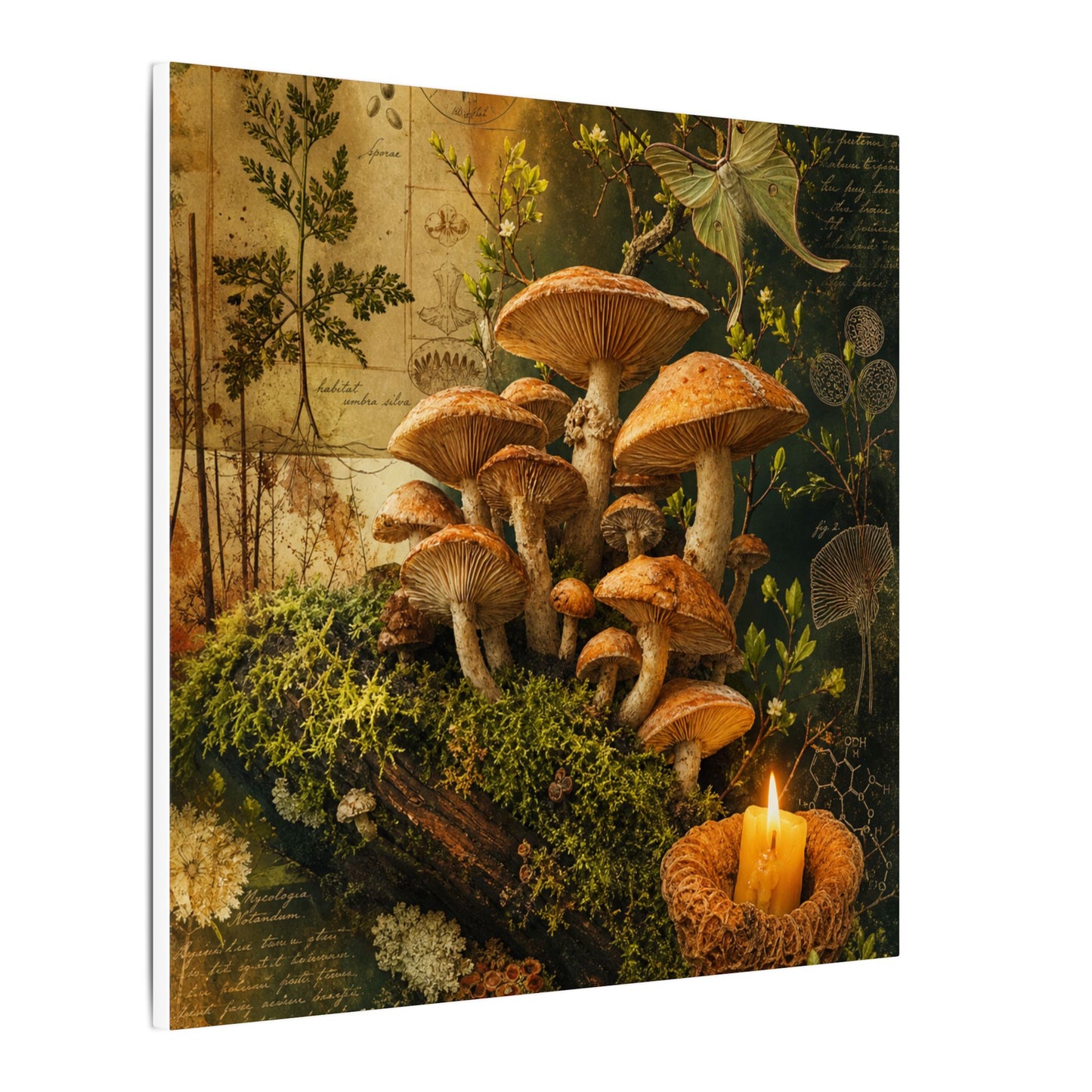 Spring Wild Mushrooms Herbarium Canvas Art | Earthy Decor