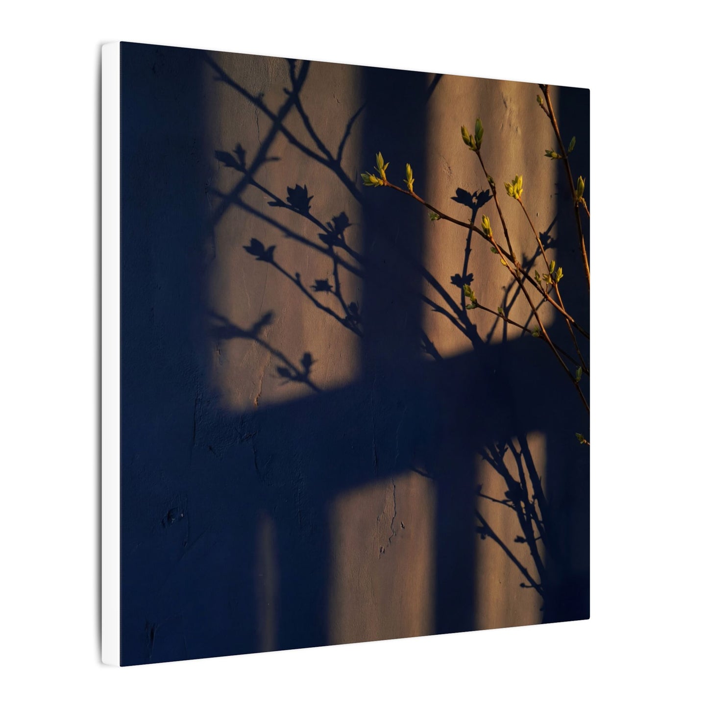 Shadow Play Canvas Art | Spring Dark Japandi Shadow Zen Art