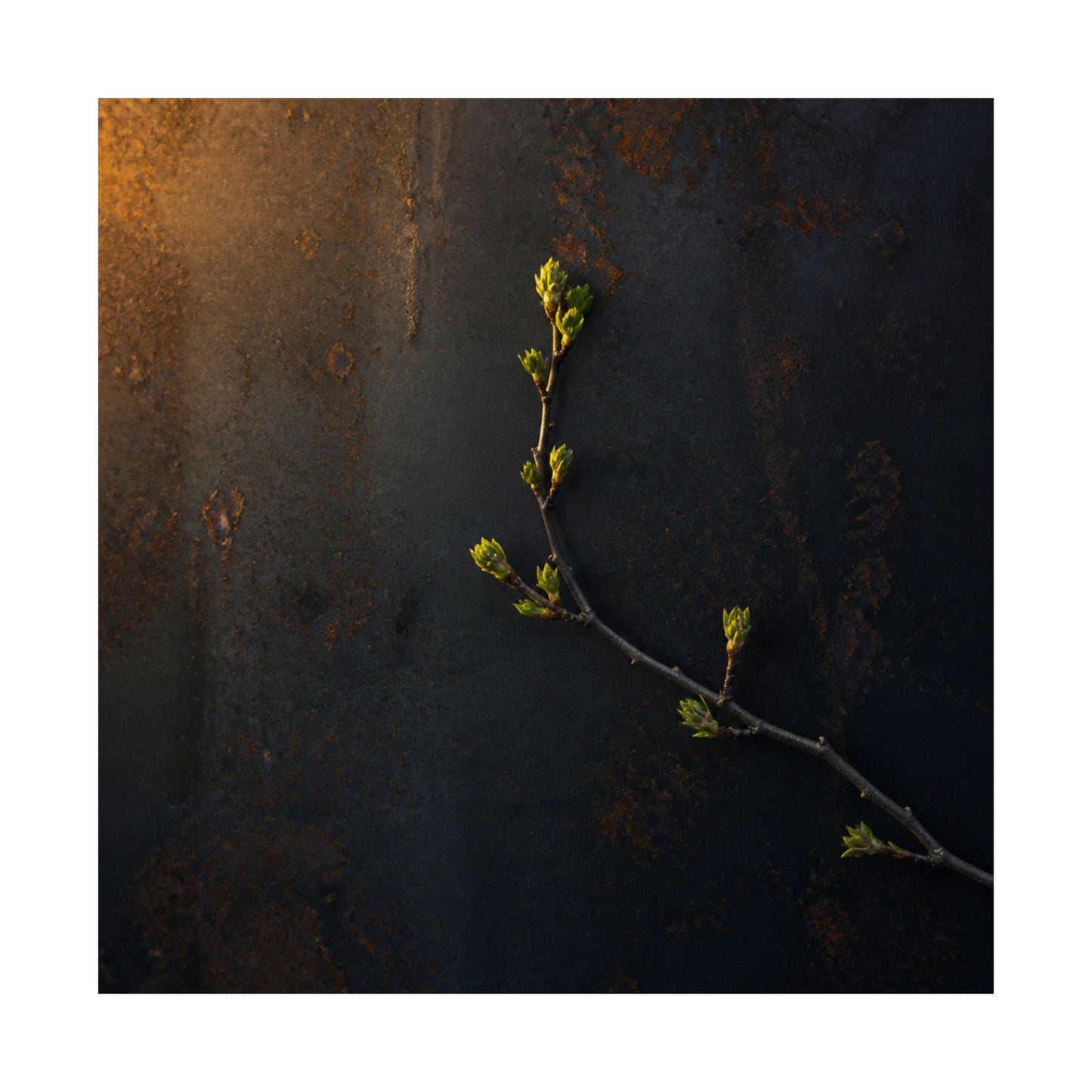 Bold Rust Patina Wall Art Print - Moody Minimal Dark Japandi