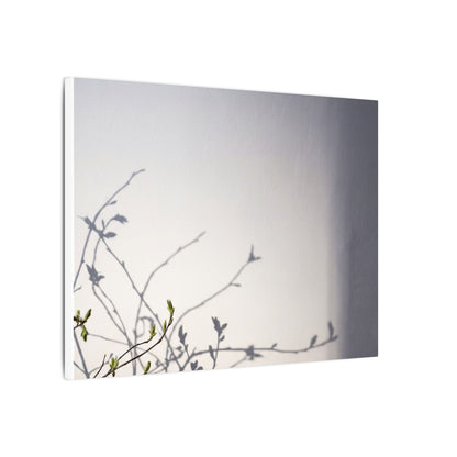 Japandi Shadow Play in Dawn | Japanese Pattern Canvas Art