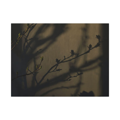 Seijaku Shadow Play Canvas Art - Dark Japandi Charcoal Ink