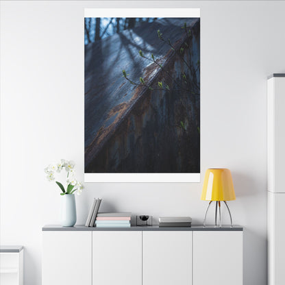Rust Patina Canvas Art | Spring Dark Japandi Shadow Zen Art