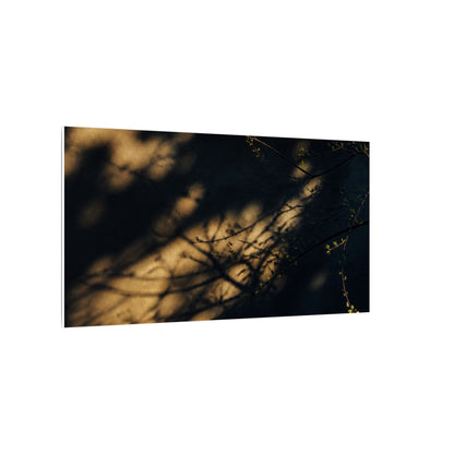 Moody Shadow Play Canvas Art - Moody Minimal Dark Japandi