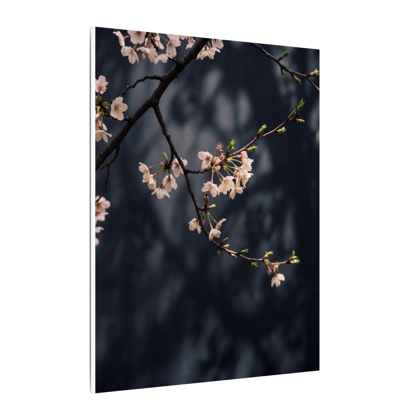 Cherry Blossom Moody Minimal Canvas Art | Bold Dark Japandi Art