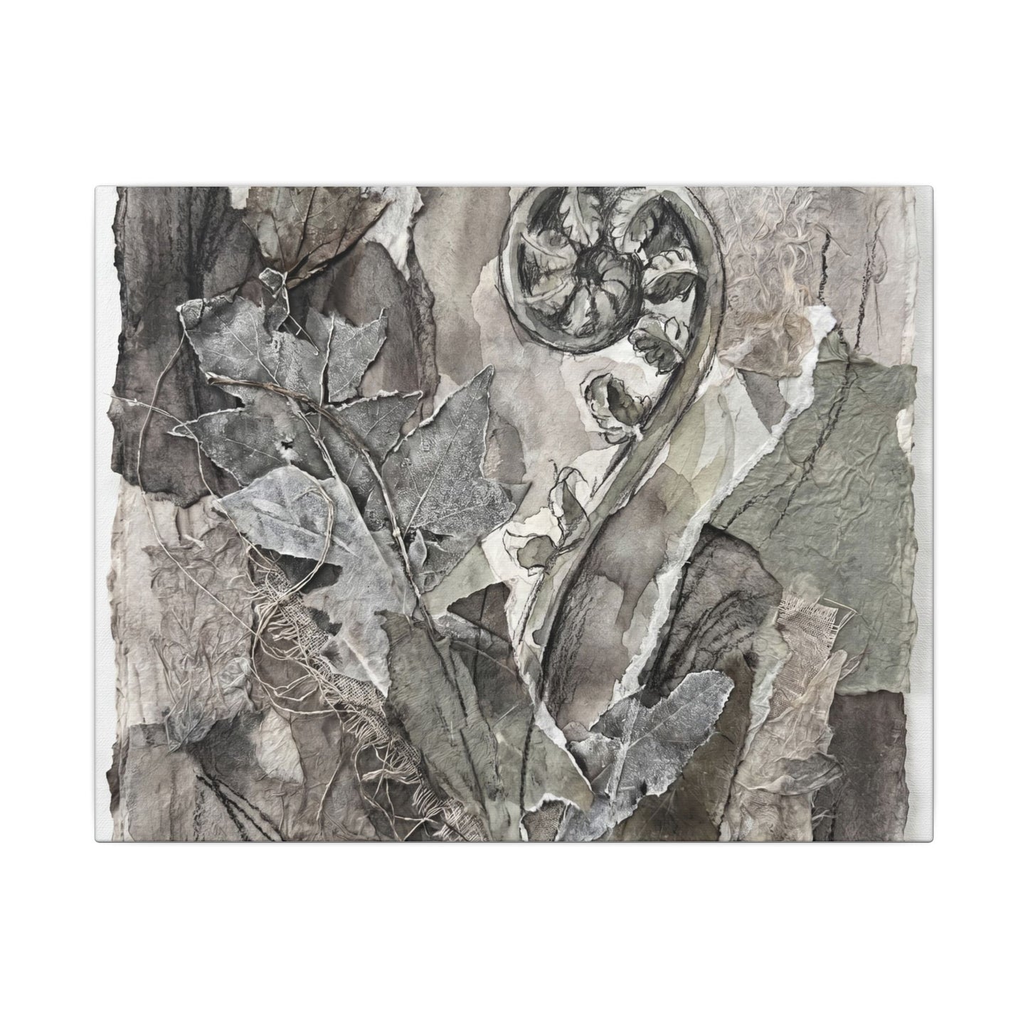 Japandi Fern Unfurling in Overcast | Texture Canvas Art