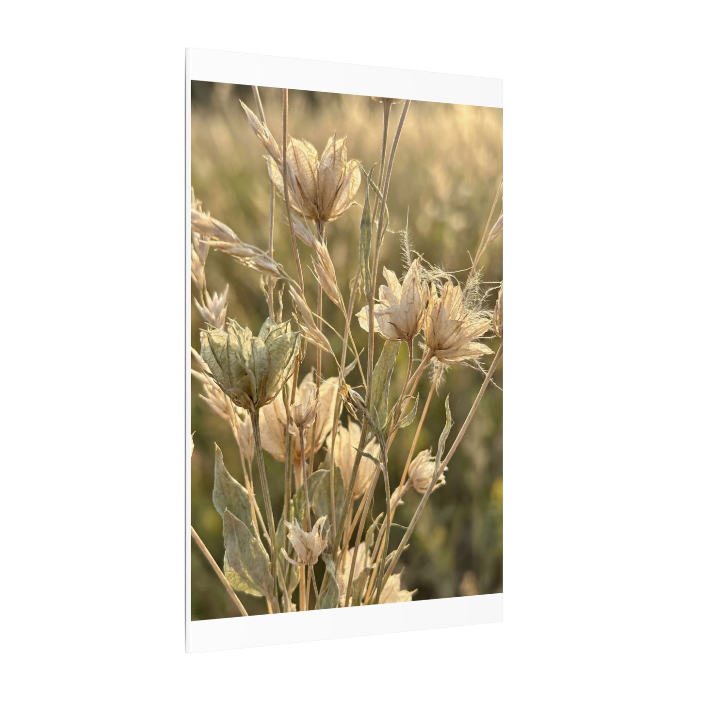 Summer Dried Flowers Minimal Line Canvas Art | Cozy Decor