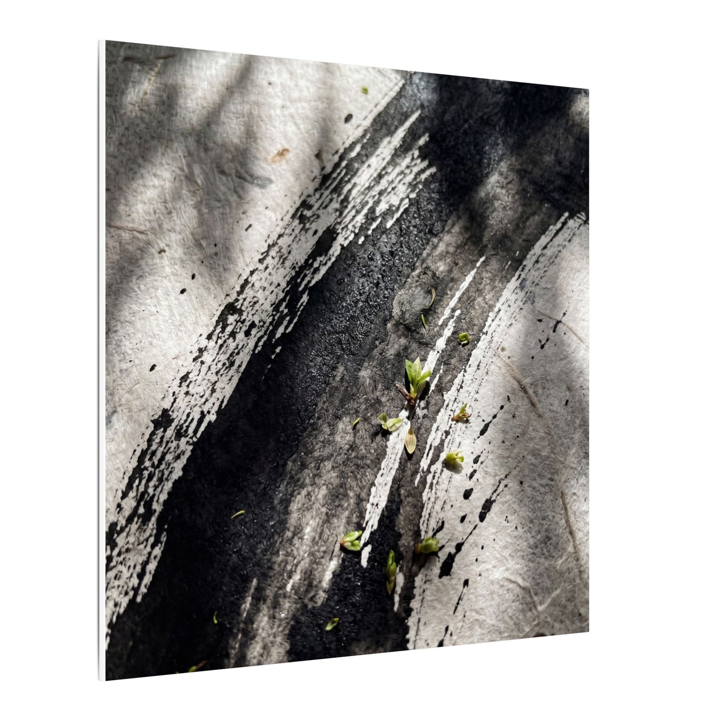 Ink Brushstroke Canvas Art | Spring Dark Japandi Moody Minimal Art
