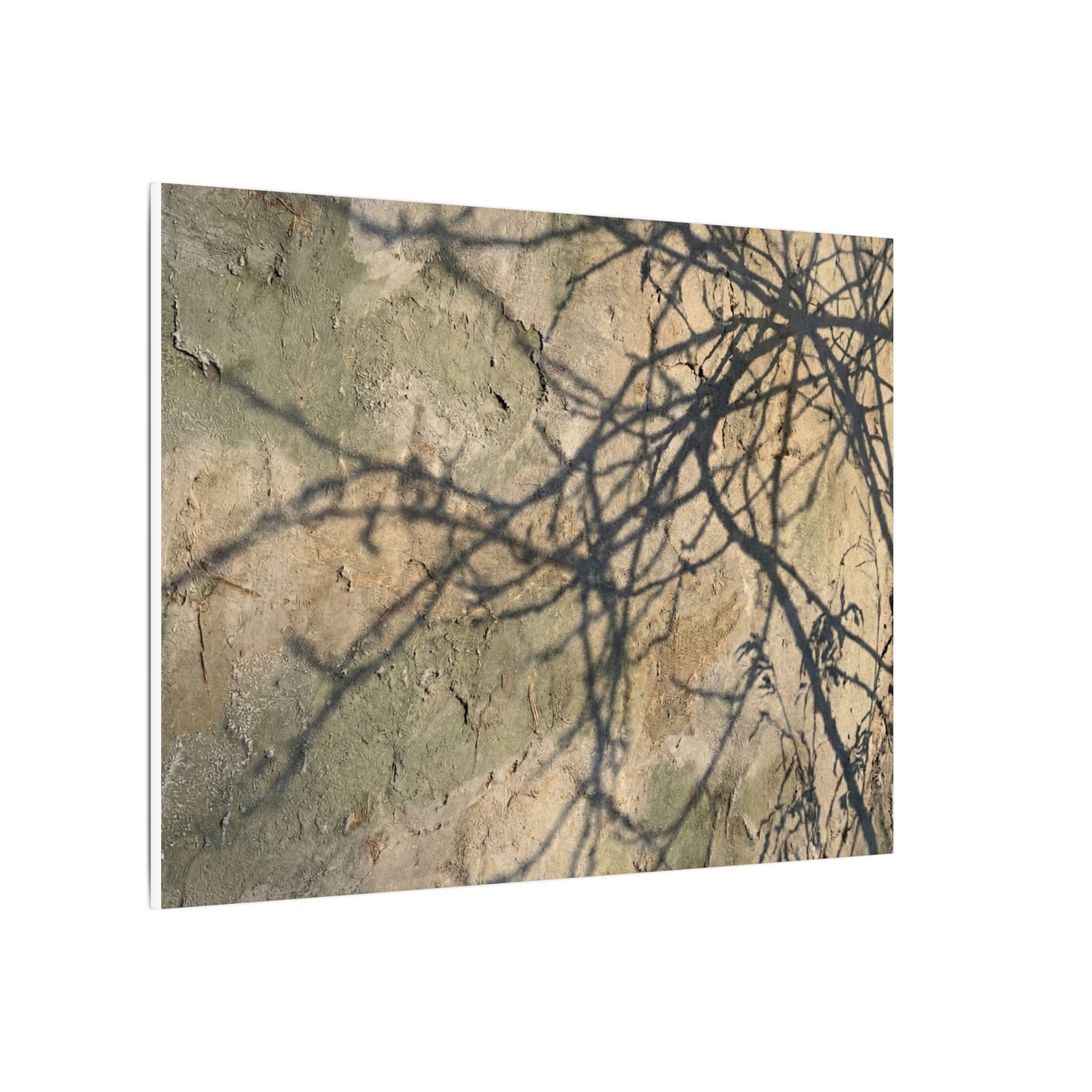 Japandi Shadow Play in Golden Hour | Texture Canvas Art