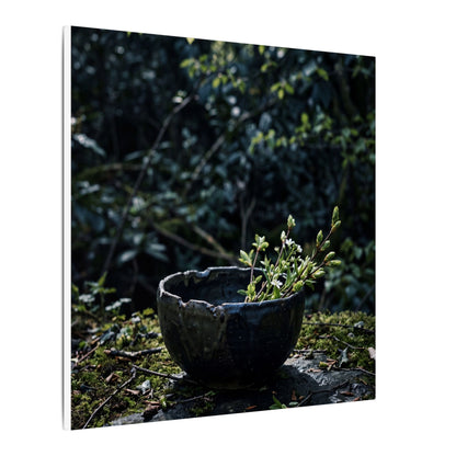Dappled Ceramic Bowl Canvas Art - Dark Japandi Datsuzoku